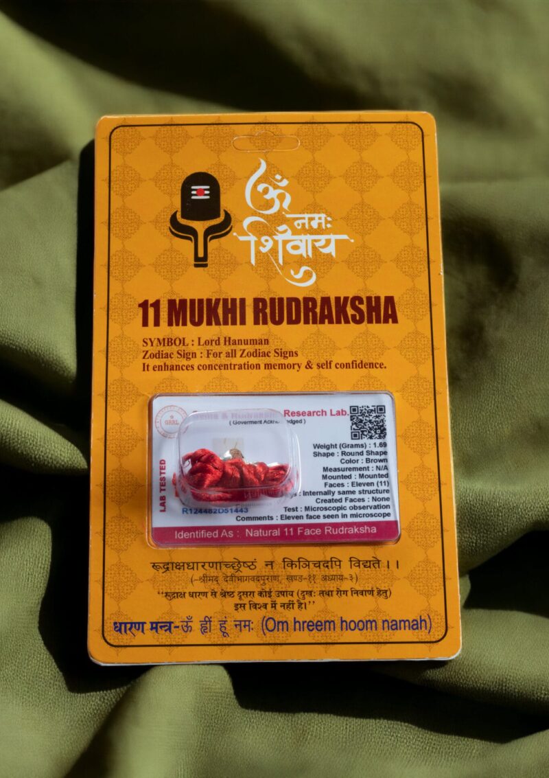 11 MUKHİ (YÜZLÜ) RUDRAKSHA