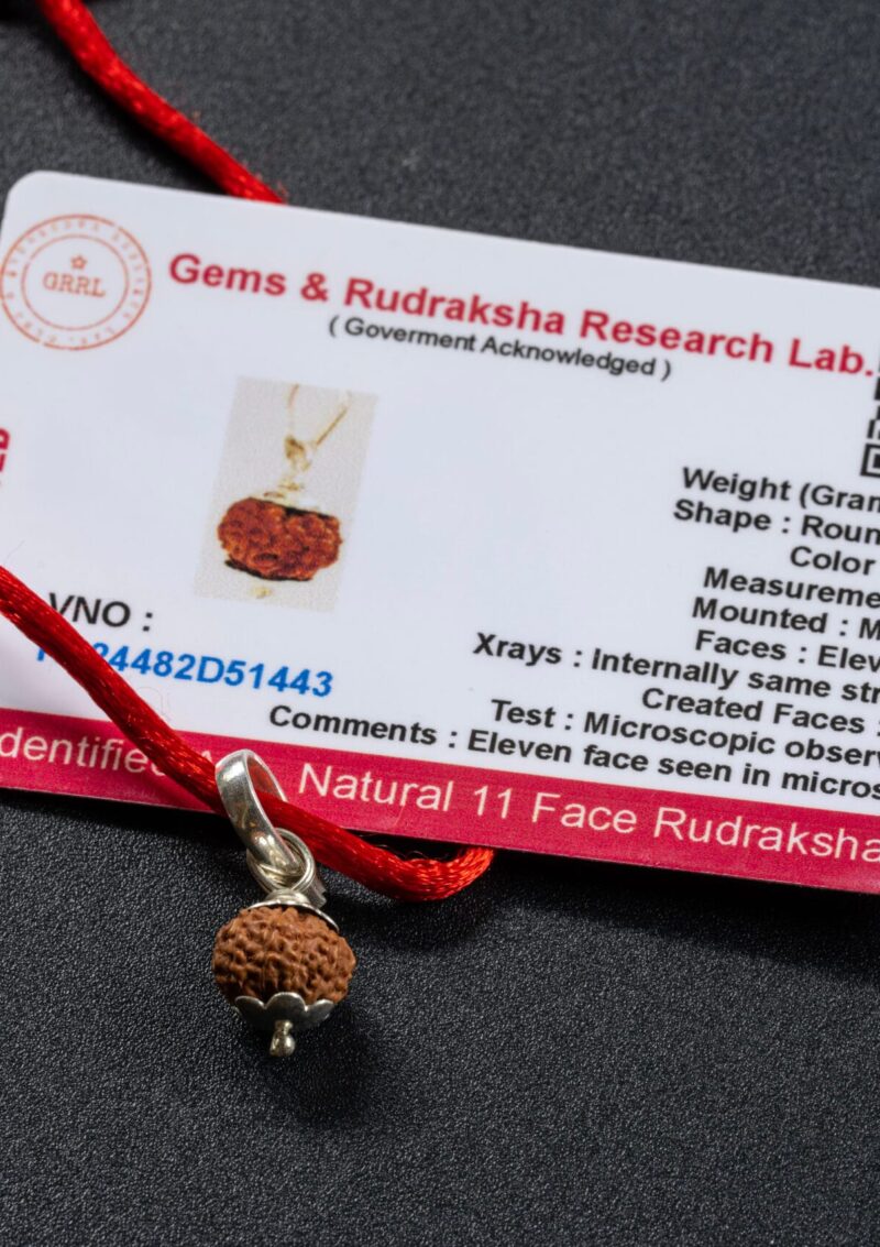 Alternative view of 11 MUKHİ (YÜZLÜ) RUDRAKSHA
