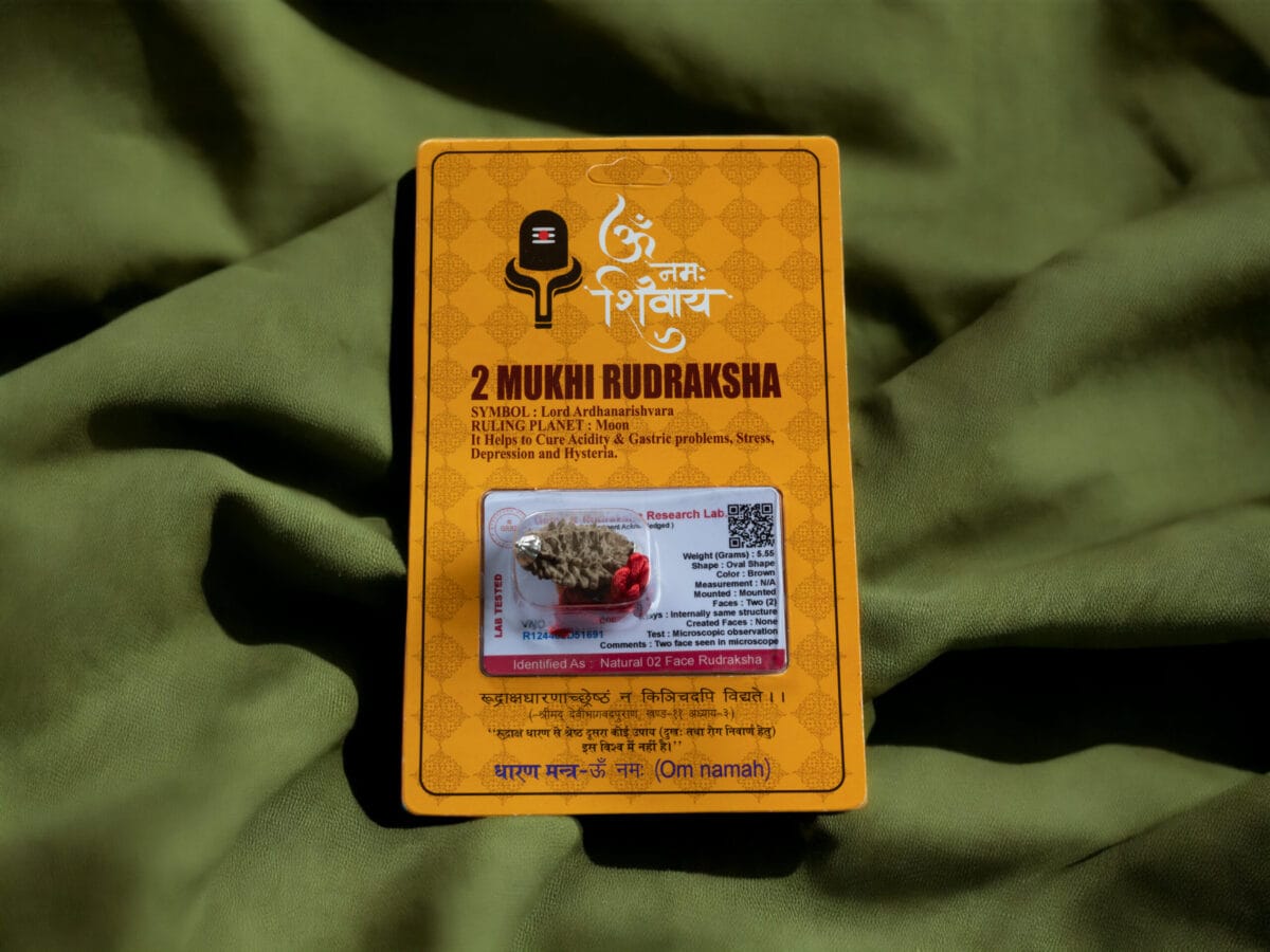 2 MUKHİ (YÜZLÜ) RUDRAKSHA KOLYE