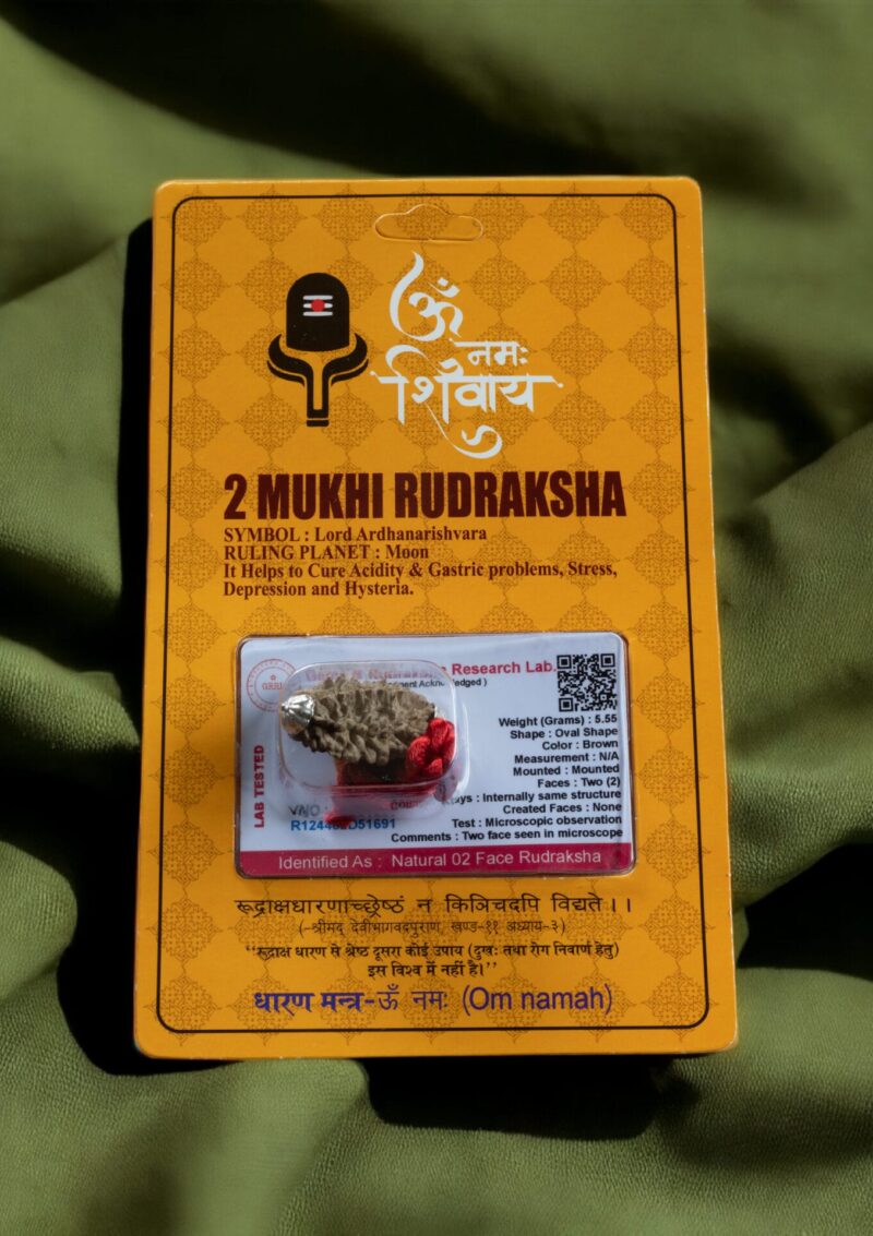 2 MUKHİ (YÜZLÜ) RUDRAKSHA KOLYE