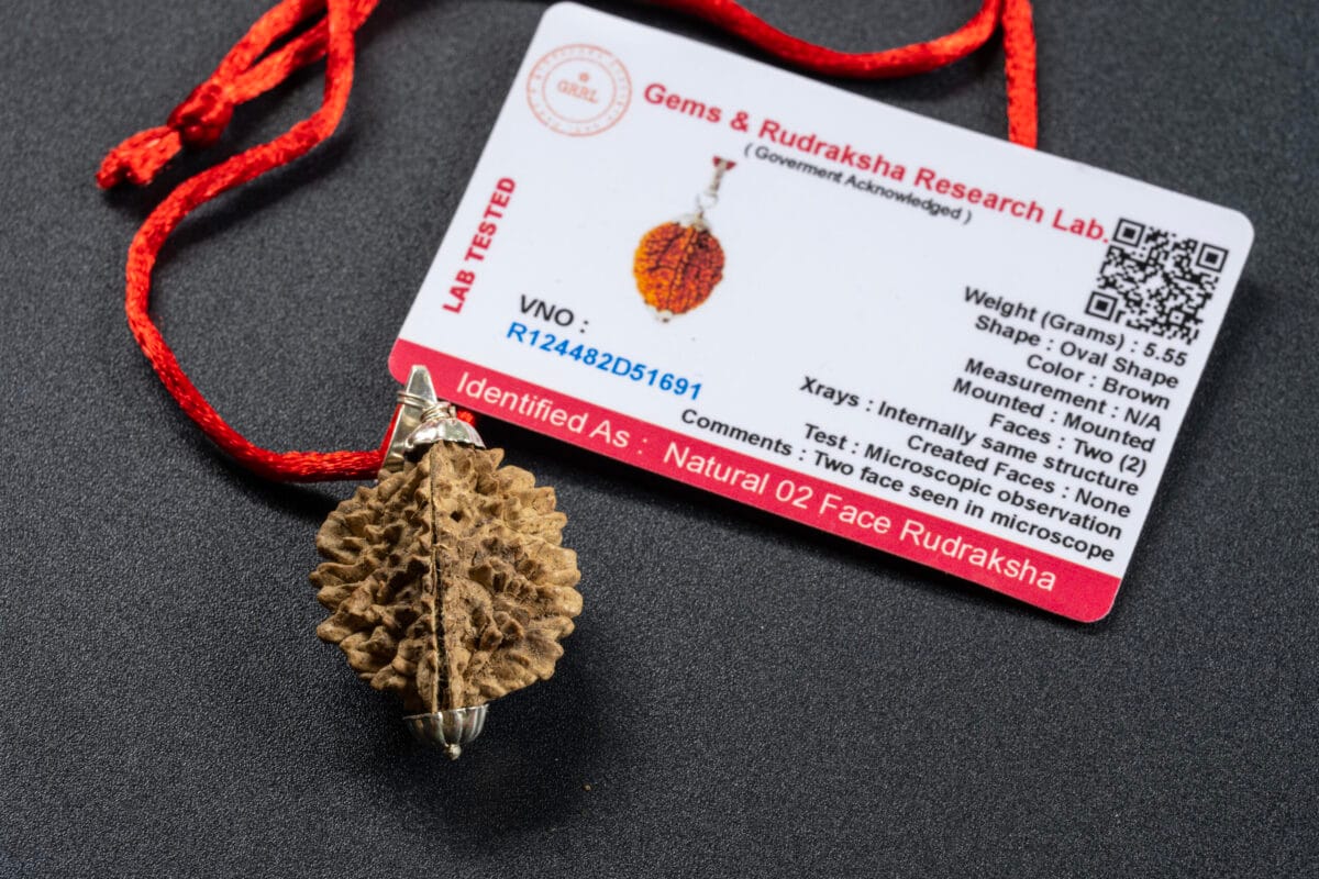 2 MUKHİ (YÜZLÜ) RUDRAKSHA KOLYE - Görsel 2