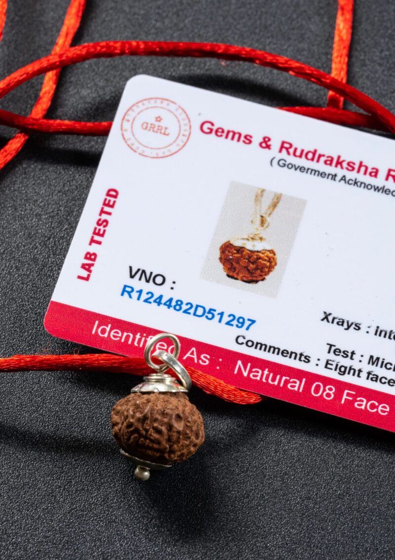 Alternative view of 8 MUKHİ (YÜZLÜ) RUDRAKSHA KOLYE