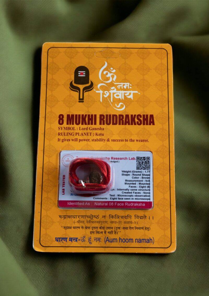 8 MUKHİ (YÜZLÜ) RUDRAKSHA KOLYE