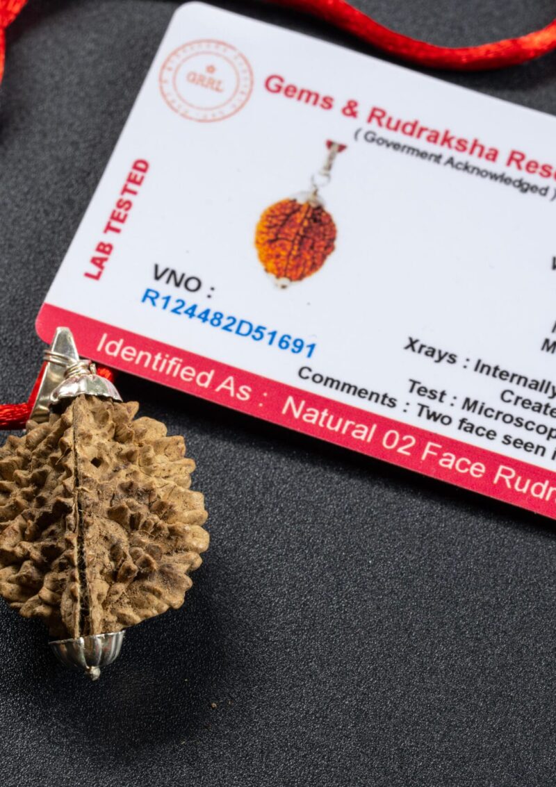 Alternative view of 9 MUKHİ (YÜZLÜ) RUDRAKSHA