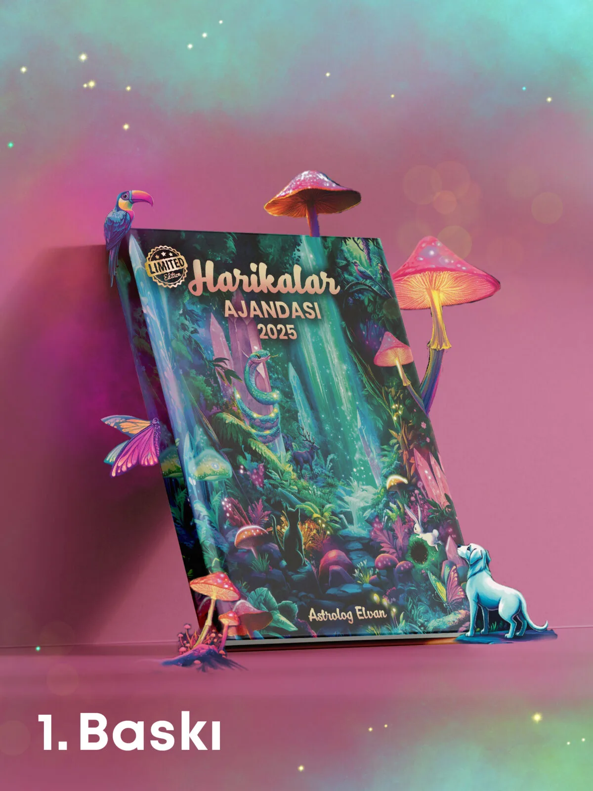 🧚🏽‍♂️ HARİKALAR AJANDASI 2025 - LIMITED EDITION