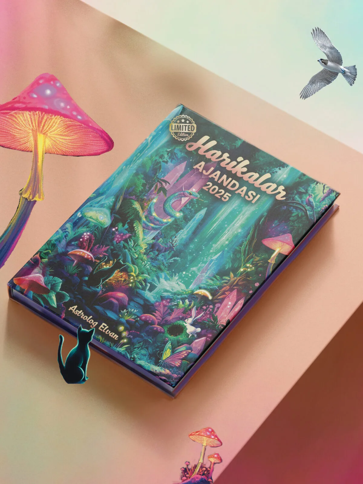 🧚🏽‍♂️ HARİKALAR AJANDASI 2025 - LIMITED EDITION - Görsel 2