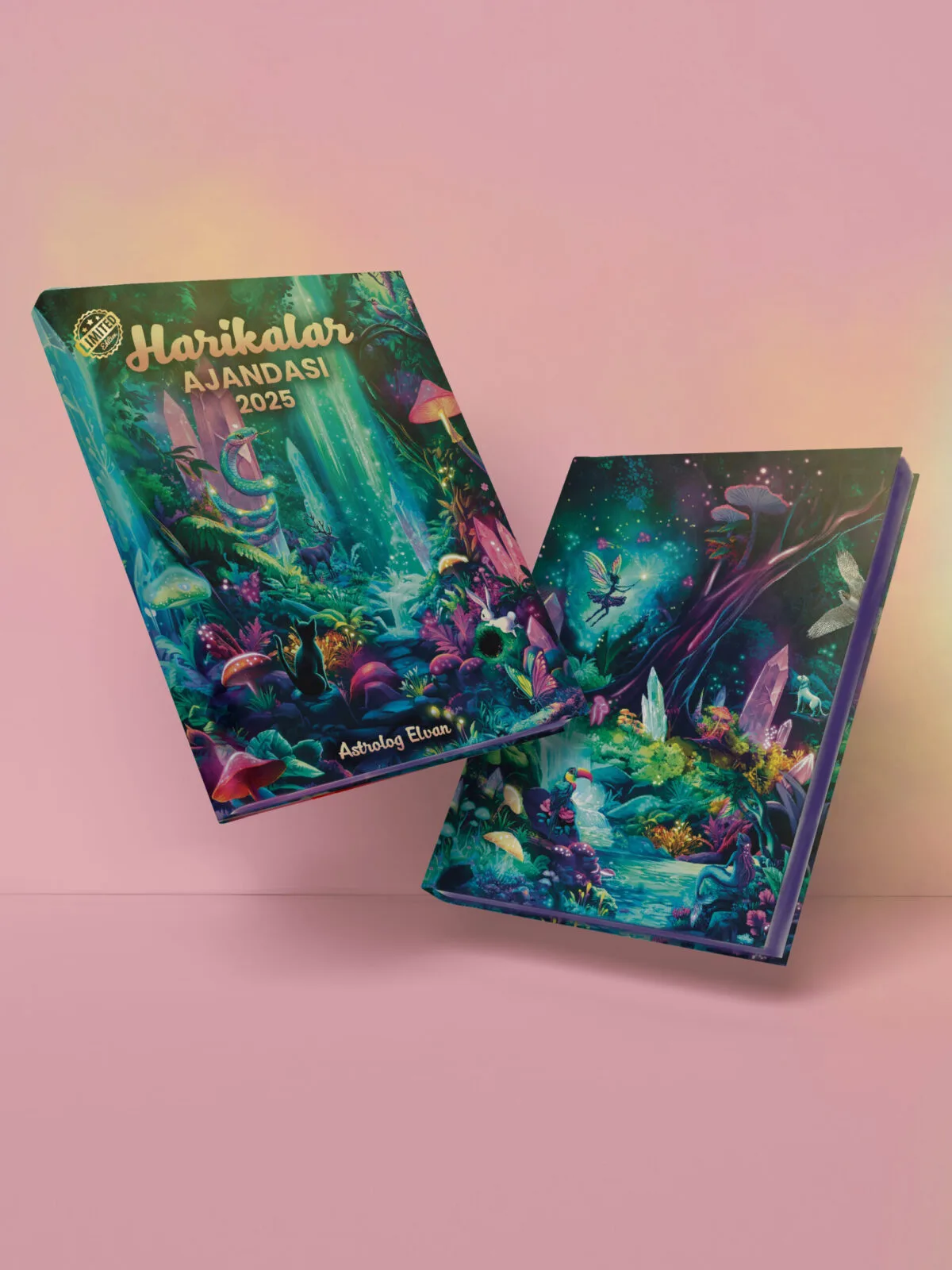 🧚🏽‍♂️ HARİKALAR AJANDASI 2025 - LIMITED EDITION - Görsel 3