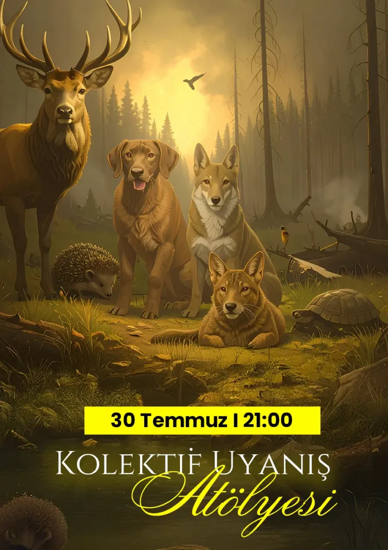 Kolektif Uyanış Atölyesi