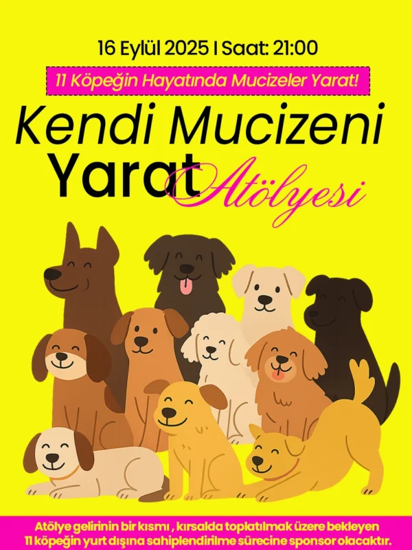 Kendi Mucizeni Yarat Atölyesi 🌟 Astrolog Elvan