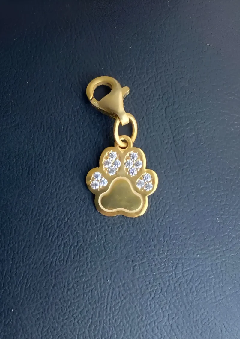 Pati Charm