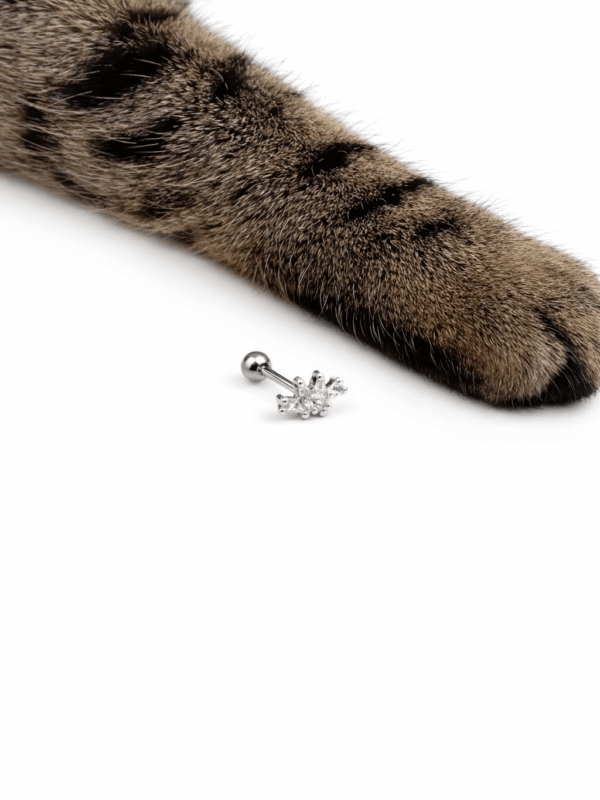 Alternative view of Queen Piercing | 925 Ayar Gümüş